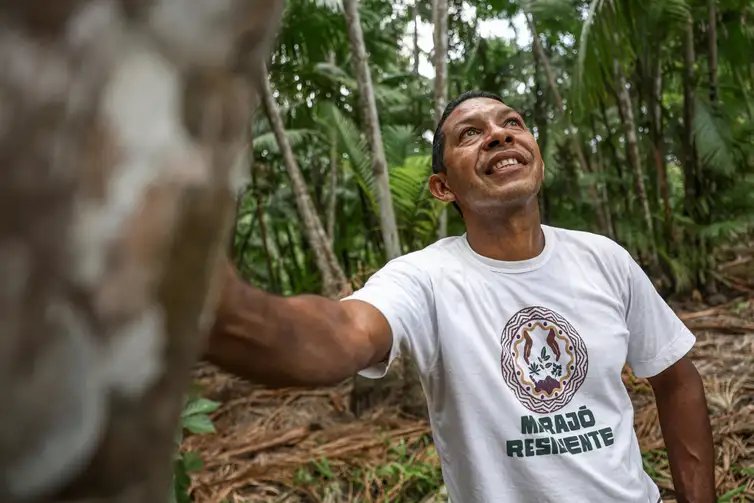 Marcelo Camargo/Agência Brasil Salvaterra (PA), 09/10/2025 - Ronildo Pacheco é o responsável por implementar o plantio de açaí e outras frutíferas em sistema de agrofloresta. Foto: Marcelo Camargo/Agência Brasil