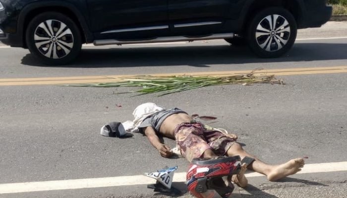 87e46a4a-afa9-4d00-8372-3d402c77615b