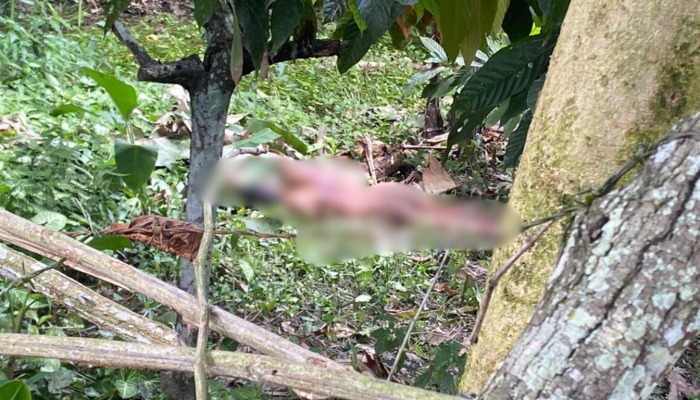 Design sem nome (10)