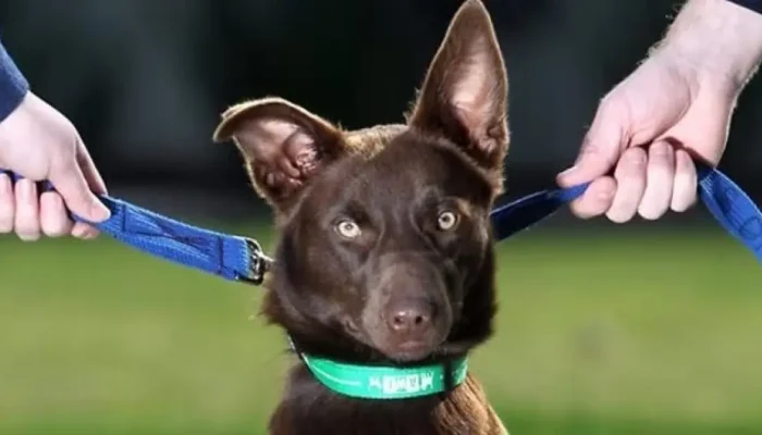 IMAGEM_NOTICIA_9 (9)