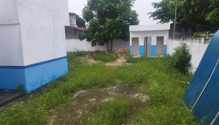 IMG-20260331-WA08411