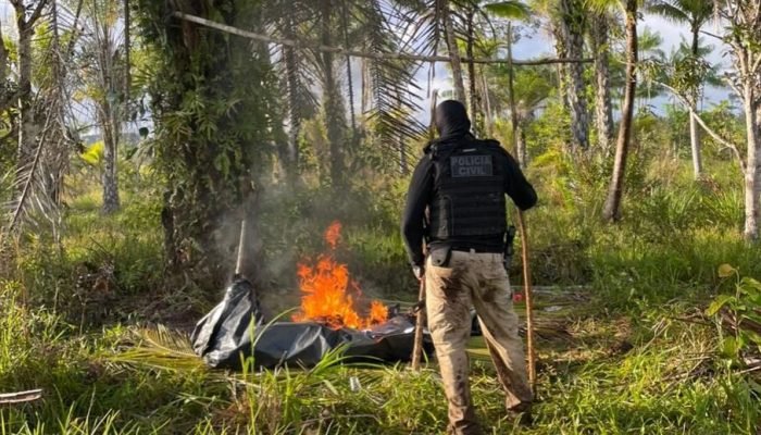 WhatsApp Image 2025-11-03 at 11.07.50 (1)