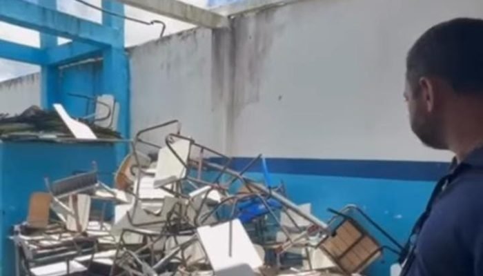 WhatsApp Image 2026-02-11 at 10.06.55