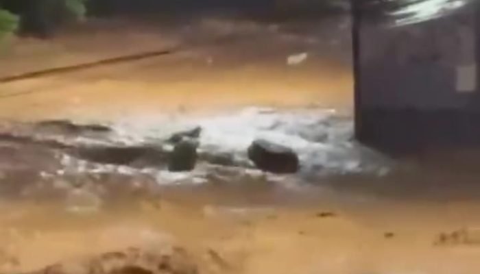 WhatsApp Image 2026-02-24 at 10.40.04