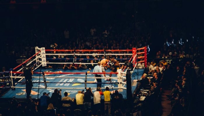 Reprodu&ccedil;&atilde;o