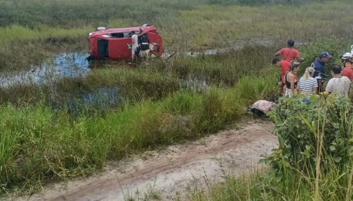 snapinsta.com.br.instagram.photo.20260225.185946